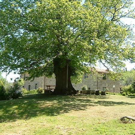 Antico Casale Pozzuolo Villa Seggiano Eksteriør bilde
