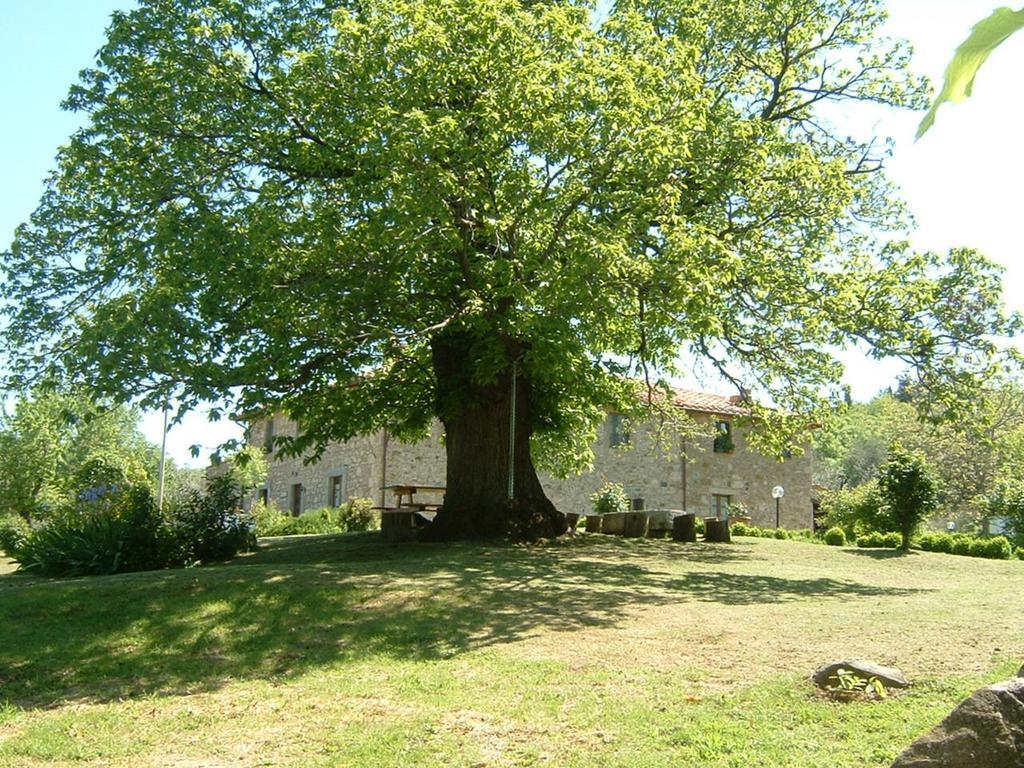Antico Casale Pozzuolo Villa Seggiano Eksteriør bilde